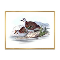Дизайнарт 'древните австралийски птици' традиционна рамка платно стена арт принт