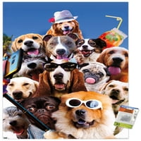 Джеймс Букър-селфи плакат за куче с бутчета, 22.375 34