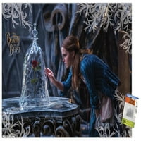 Disney Beauty and the Beast - Rose Wall Poster, 14.725 22.375