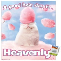 Avanti - Плакат за котешка котка с памук с бутални щифтове, 22.375 34